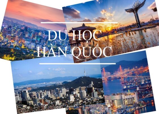 Nên đi du học ở Busan hay Seoul?